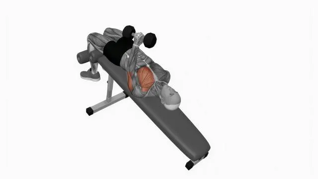 Dumbbell Decline One Arm Hammer Press (2)
