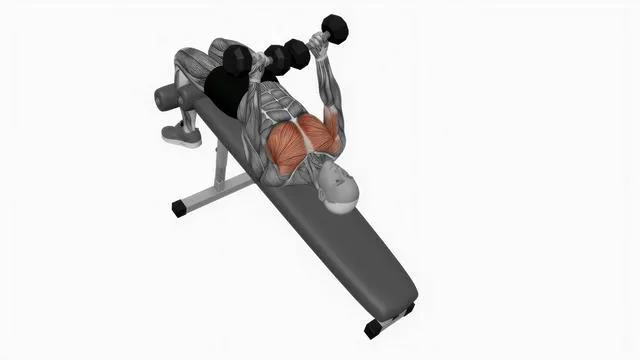Dumbbell Decline Twist Fly (2)