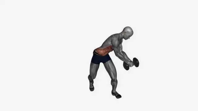 Dumbbell diagonal chop (2)