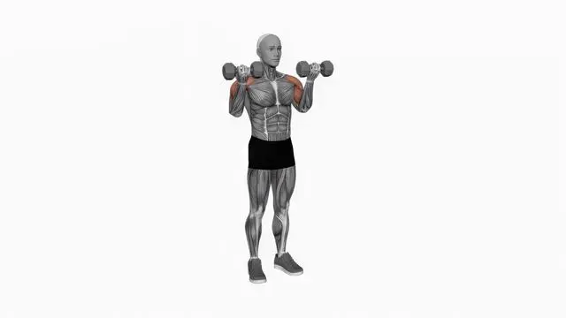 Dumbbell Drag Over Shoulder Bicep Curl (2)