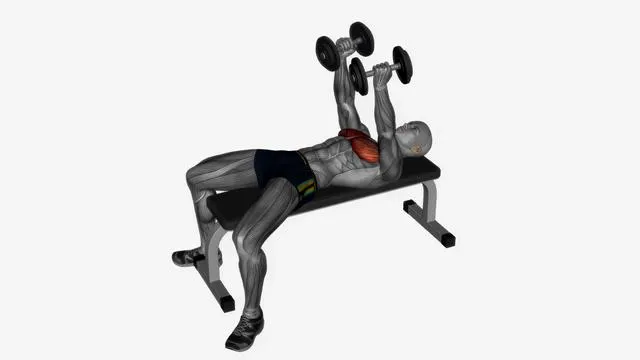 Dumbbell fly flat bench (2)