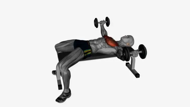 Dumbbell fly flat bench (3)