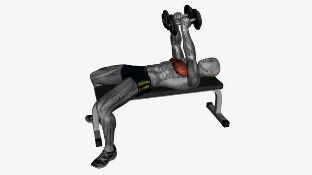 Dumbbell fly flat bench slow (2)