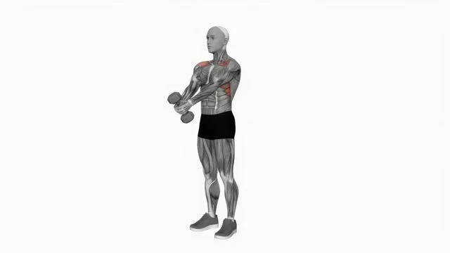 Dumbbell Front Raise (3)
