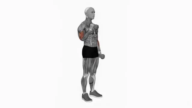 Dumbbell Hammer Curl (2)