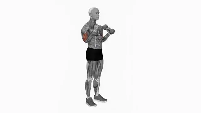 Dumbbell Hammer Curl (4)
