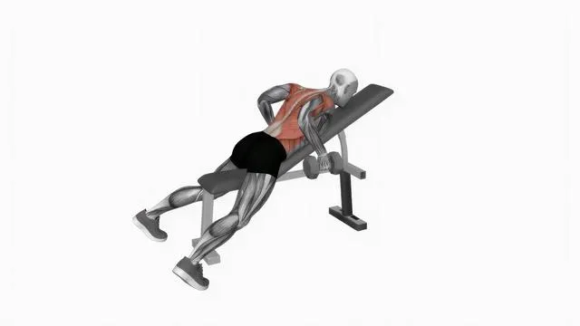 Dumbbell Hammer Grip Incline Bench Two Arm Row (2)