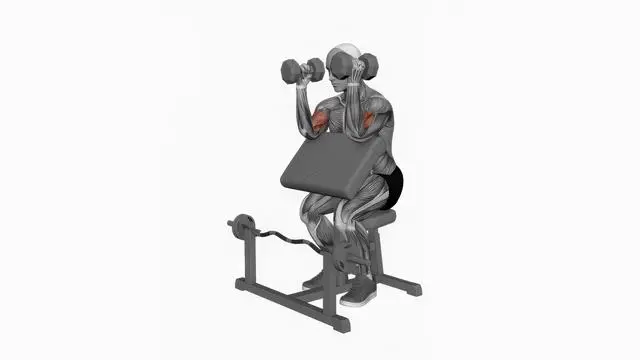 Dumbbell Hammer Preacher Curl Simultaneous Arms (2)