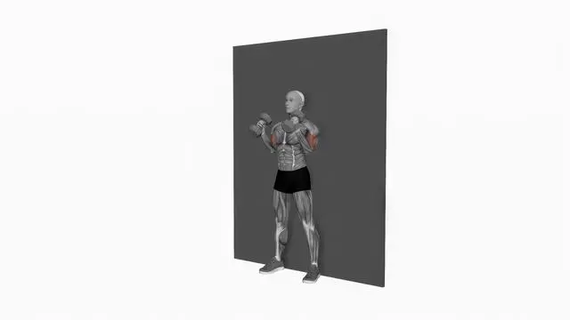Dumbbell Hammer Strict Curl (2)