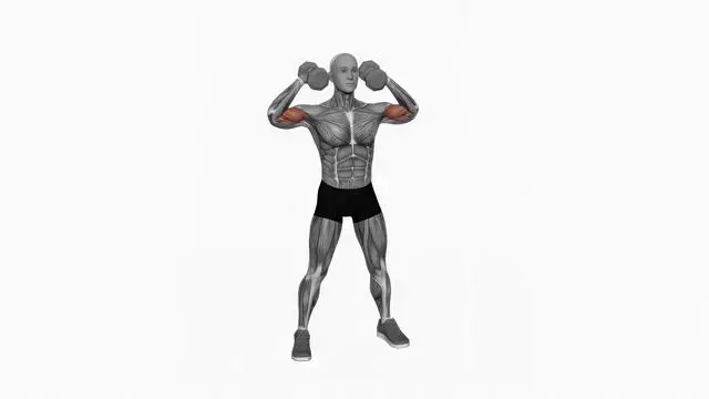 Dumbbell High Curl (2)