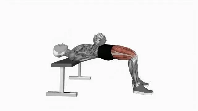 Dumbbell Hip Thrust (VERSION 2) (2)