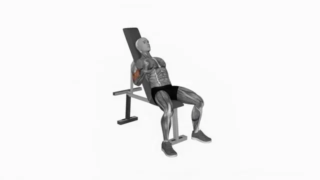 Dumbbell Incline Alternate Curl (2)