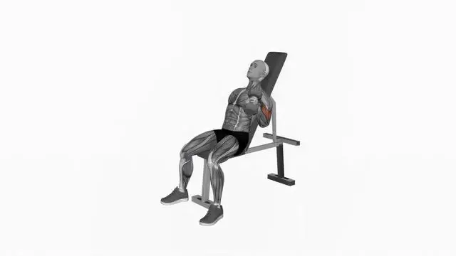 Dumbbell Incline Alternate Hammer Curl (2)