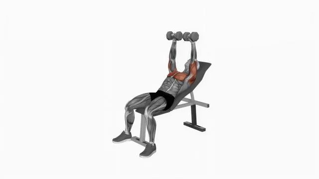 Dumbbell Incline Bench Press (2)