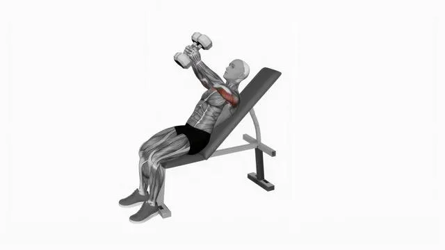 Dumbbell Incline Hammer Shoulder Press (2)