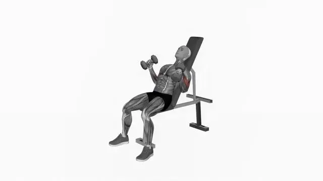 Dumbbell Incline Hammer Simultaneous Curl (2)