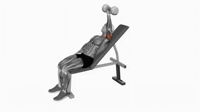 Dumbbell Incline One Arm Press (2)