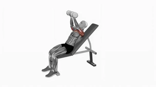 Dumbbell Incline Palms Back Press (2)
