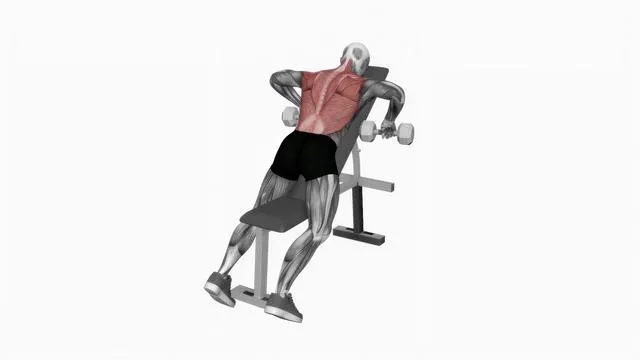 Dumbbell Incline Row (2)
