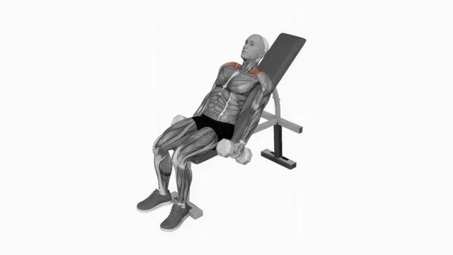 Dumbbell Incline Shrug (2)