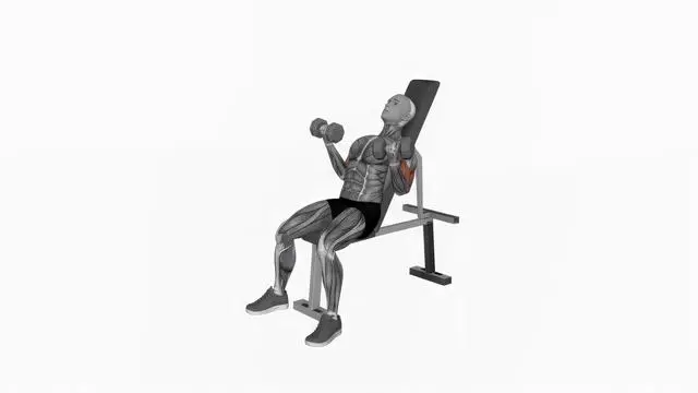 Dumbbell Incline Simultaneous Curl (2)