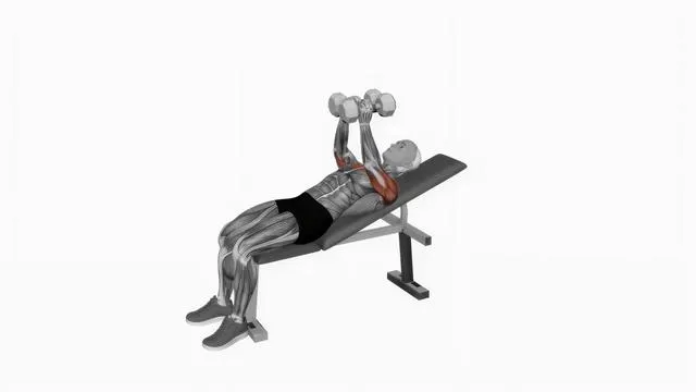 Dumbbell Incline Squeeze Press (2)