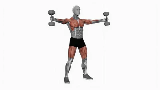 Dumbbell Iron Cross (2)