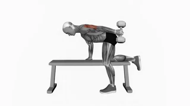 Dumbbell Kickback (2)