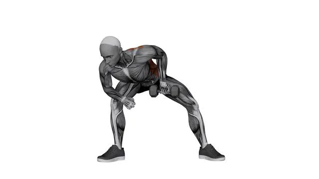 Dumbbell Knee Lawnmower Row (2)