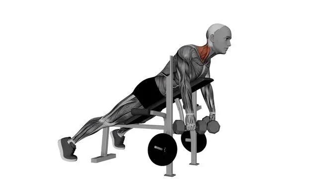 Dumbbell Laying Silverback Shrug (2)