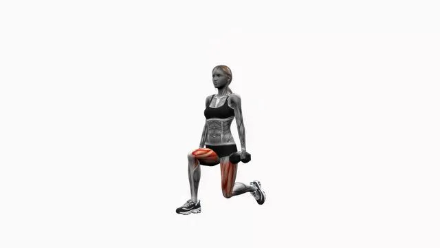 Dumbbell lunge pulse (2)