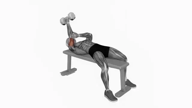 Dumbbell Lying One Arm Neutral Triceps Extension (2)