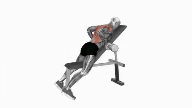 Dumbbell Lying Rear Delt Row (2)