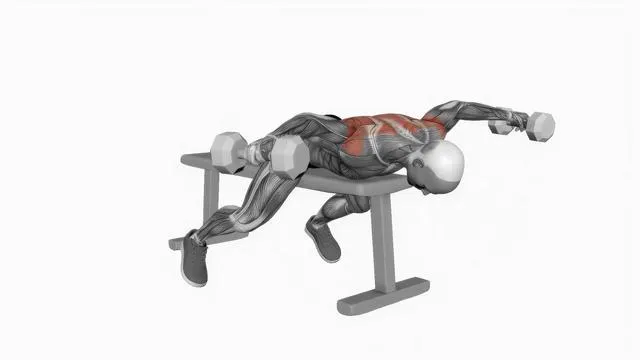 Dumbbell Lying Rear Lateral Raise (2)
