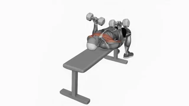 Dumbbell Lying Supine Curl (2)
