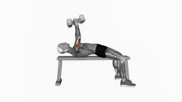 Dumbbell Lying Triceps Extension (2)