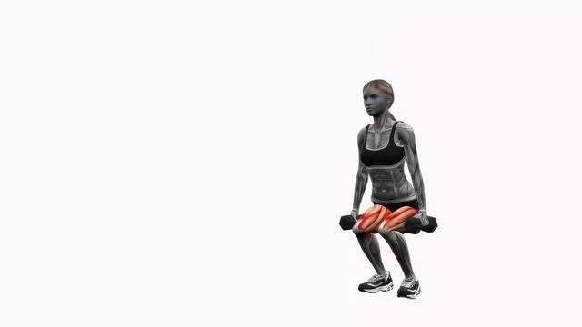 Dumbbell narrow stance squats (2)