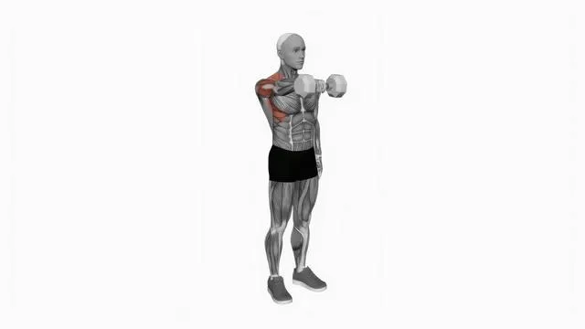 Dumbbell One Arm Front Raise (2)