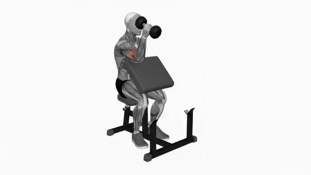Dumbbell One Arm Hammer Preacher Curl (2)