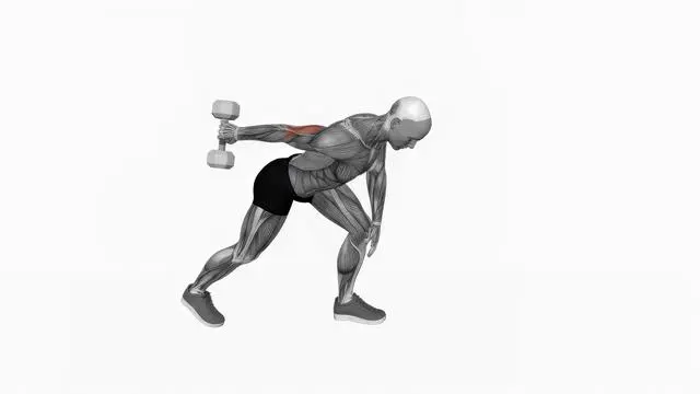 Dumbbell One Arm Kickback (2)