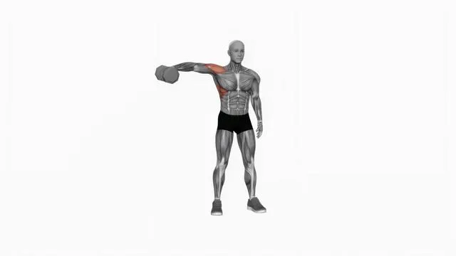 Dumbbell One Arm Lateral Raise (2)