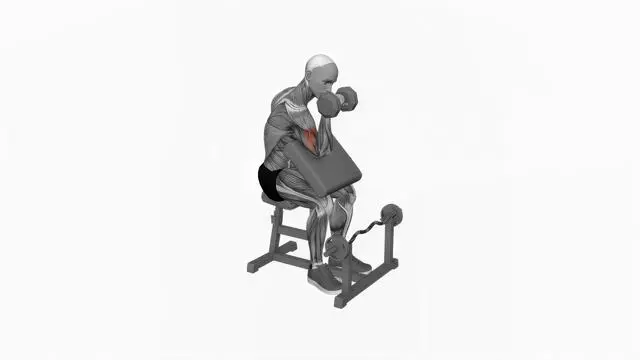 Dumbbell One Arm Reverse Preacher Curl (2)