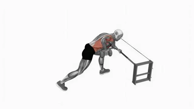 Dumbbell One Arm Row (rack support) (2)