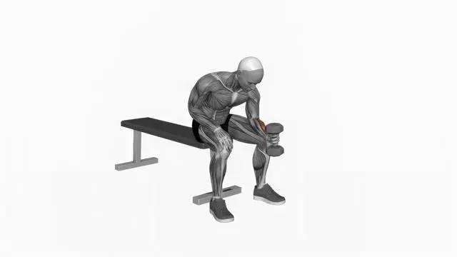 Dumbbell One Arm Seated Neutral Wrist Curl (2)