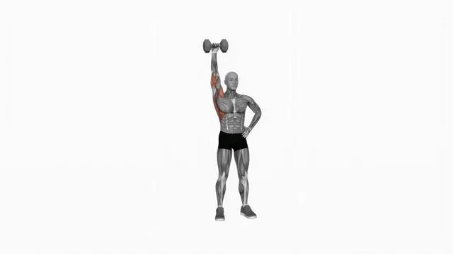 Dumbbell One Arm Shoulder Press (VERSION 2) (2)