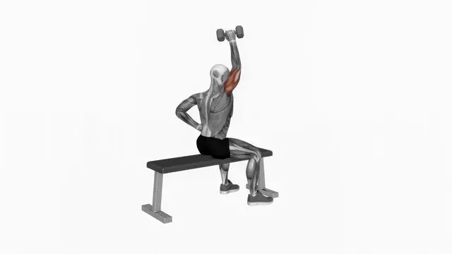 Dumbbell One Arm Triceps Extension (on bench) (2)