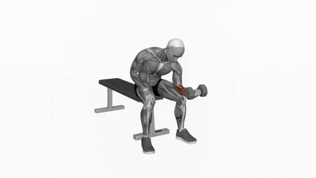 Dumbbell One arm Wrist Curl (2)
