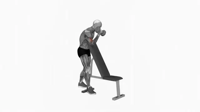 Dumbbell One Arm Zottman Preacher Curl (2)
