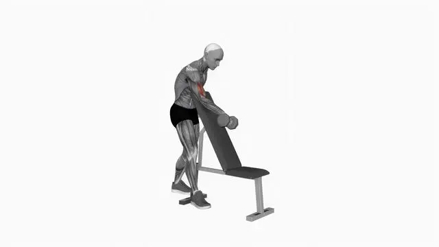 Dumbbell One Arm Zottman Preacher Curl (3)