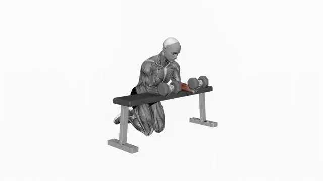 Dumbbell Over Bench Reverse Wrist Curl (2)